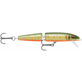Rapala Jointed J11 (SCRR) Scarred Roach